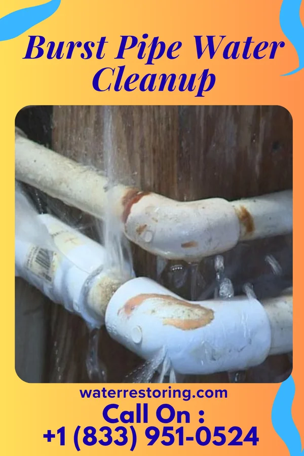 Burst Pipe Water Cleanup in Leary, TX