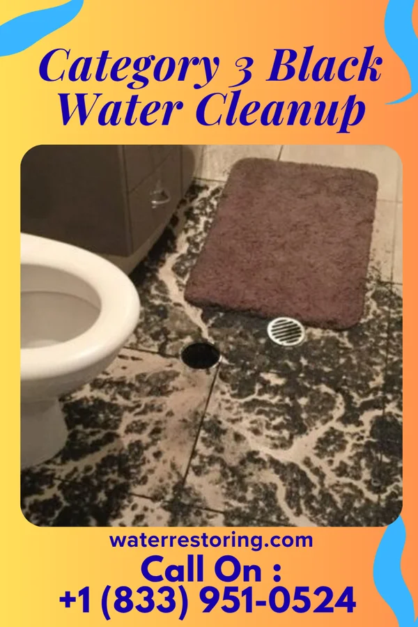 Category 3 Black Water Cleanup in Leary, TX