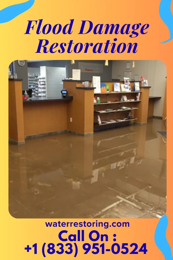 Flood Damage Restoration in Leary, TX