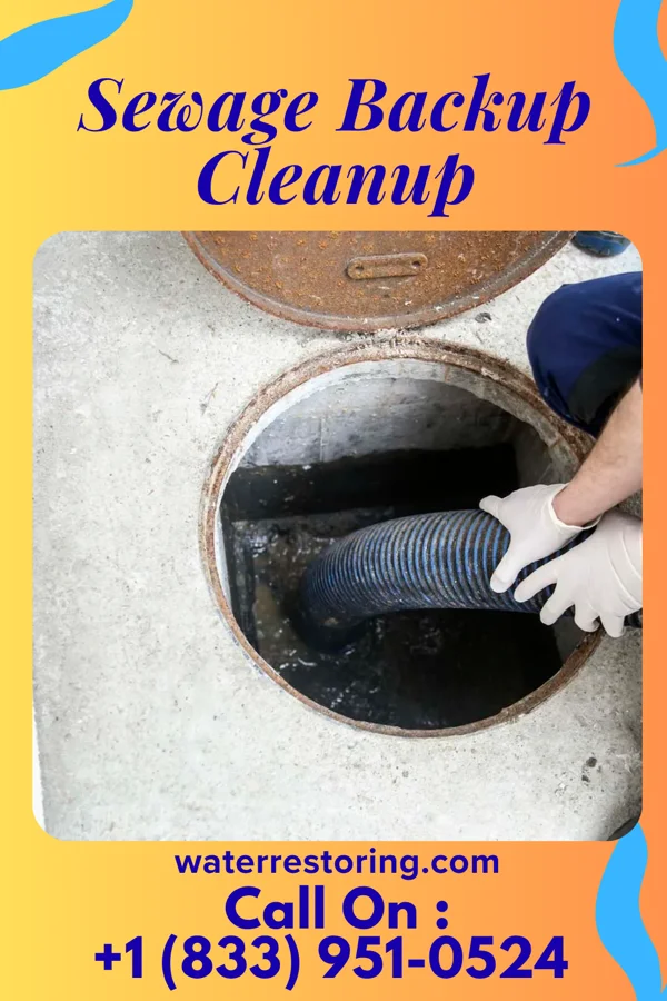 Sewage Backup Cleanup in Leary, TX